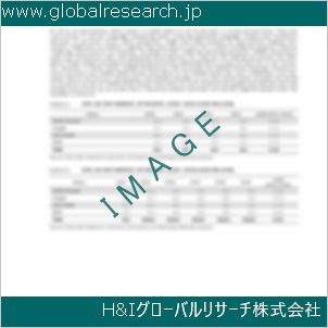 グローバルリサーチ調査資料のイメージ